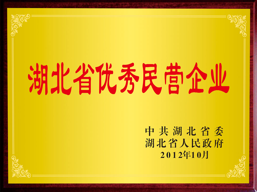 湖北省優(yōu)秀民營企業(yè)